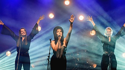 Kaunis rietas onnellinen