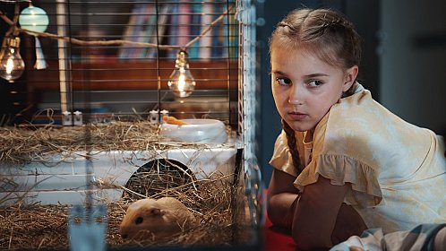 Supermarsu ja suuri huijaus