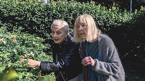 Teräsleidit – kuin viimeistä päivää