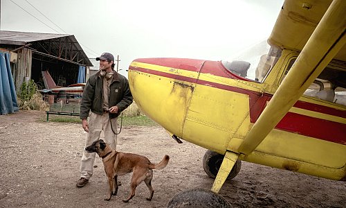 The Dog Stars